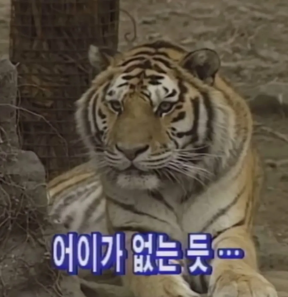 범 무서운 줄 모르는 하룻강아지