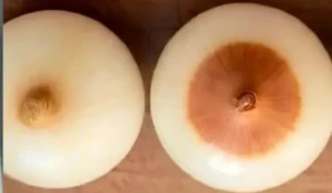 호불호 갈리는 양파 취향