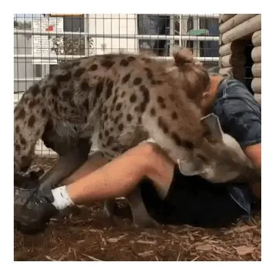 억울한 오해를 받는 동물들.jpg
