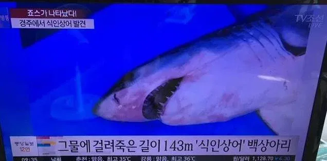억울한 오해를 받는 동물들.jpg