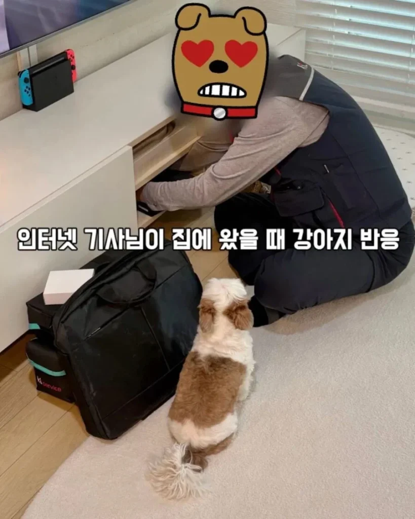 강아지가 인터넷 기사님을 맞이하는 순간.jpg