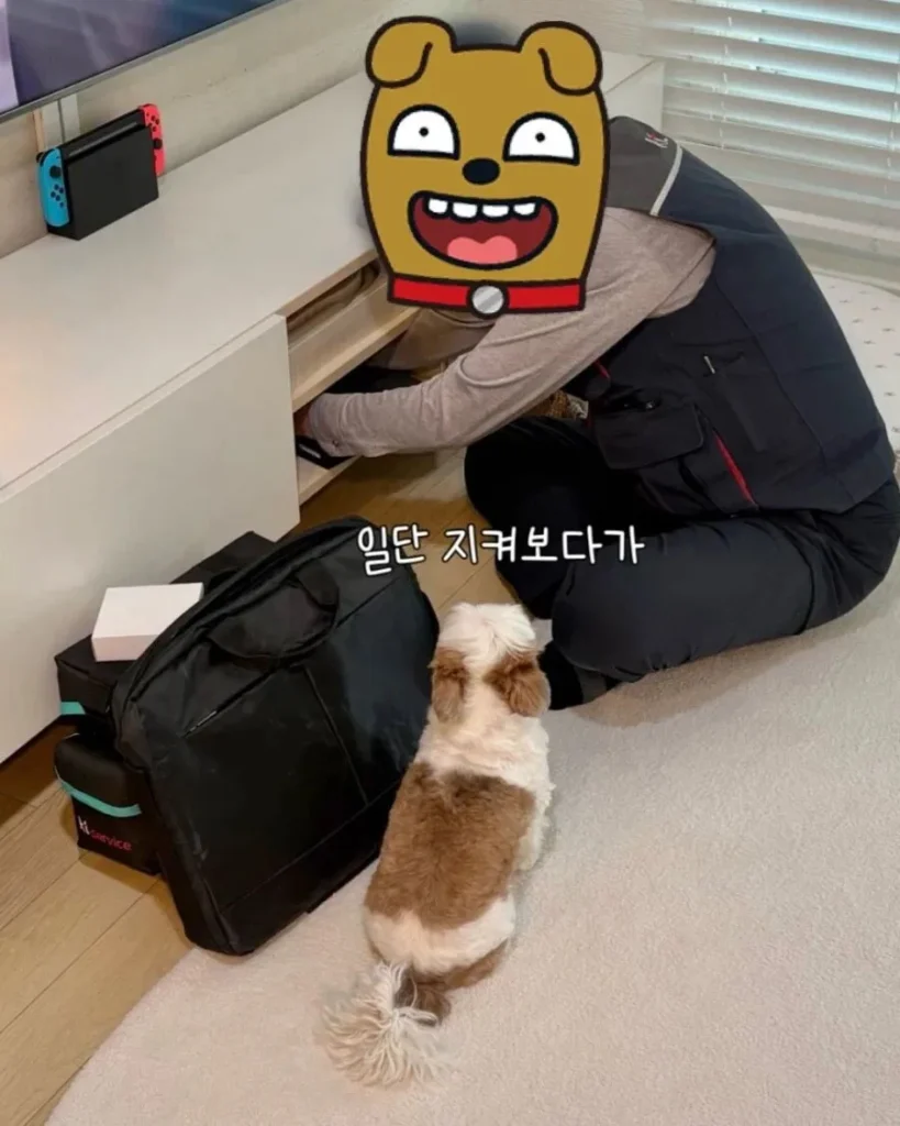강아지가 인터넷 기사님을 맞이하는 순간.jpg