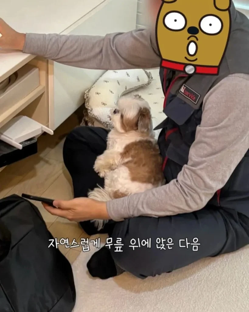 강아지가 인터넷 기사님을 맞이하는 순간.jpg
