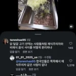 한국 급식 영상에 달린 해외 댓글