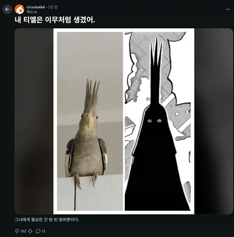 원피스 결말 관련 루머가 퍼지게 된 경위
