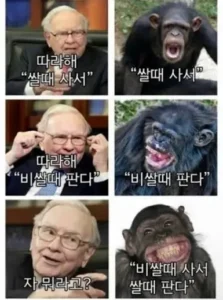 주식 커뮤니티에서 얻은 교훈