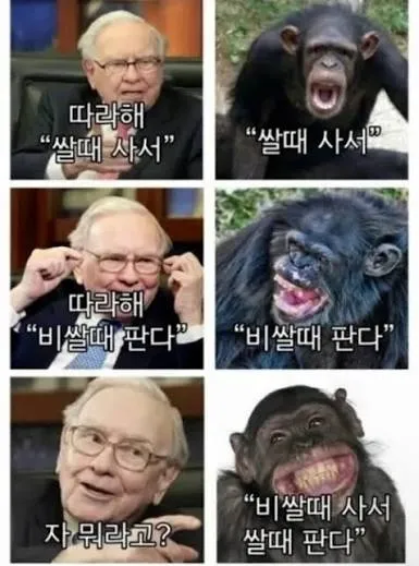 주식 커뮤니티에서 얻은 교훈