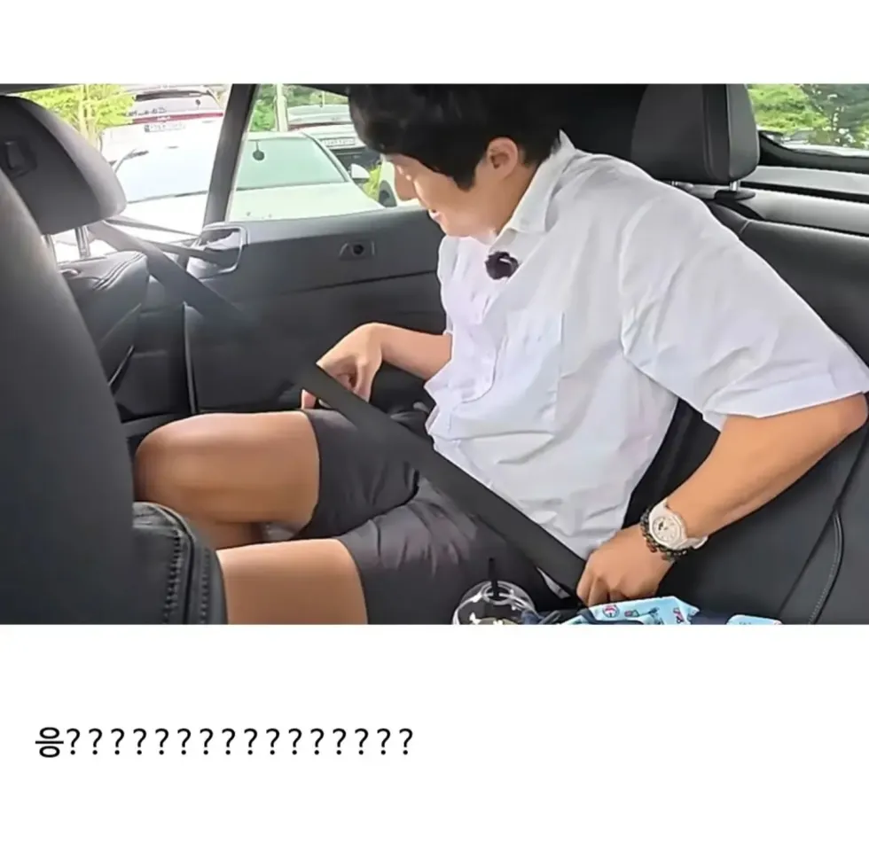 안전벨트 착용, 이런 방식은 처음 보네요