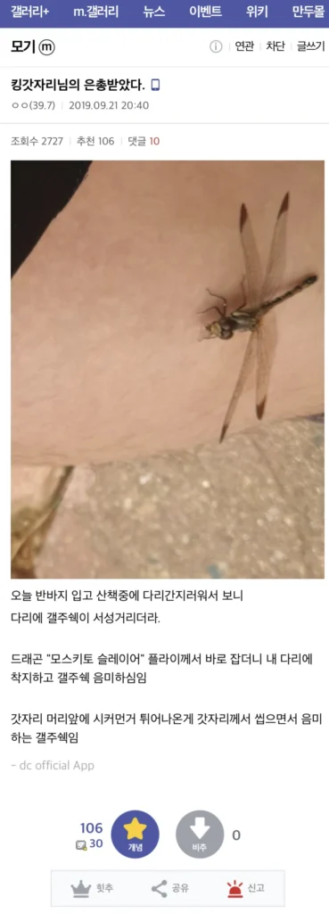 모기 갤러리 회원이 눈물을 보인 이유