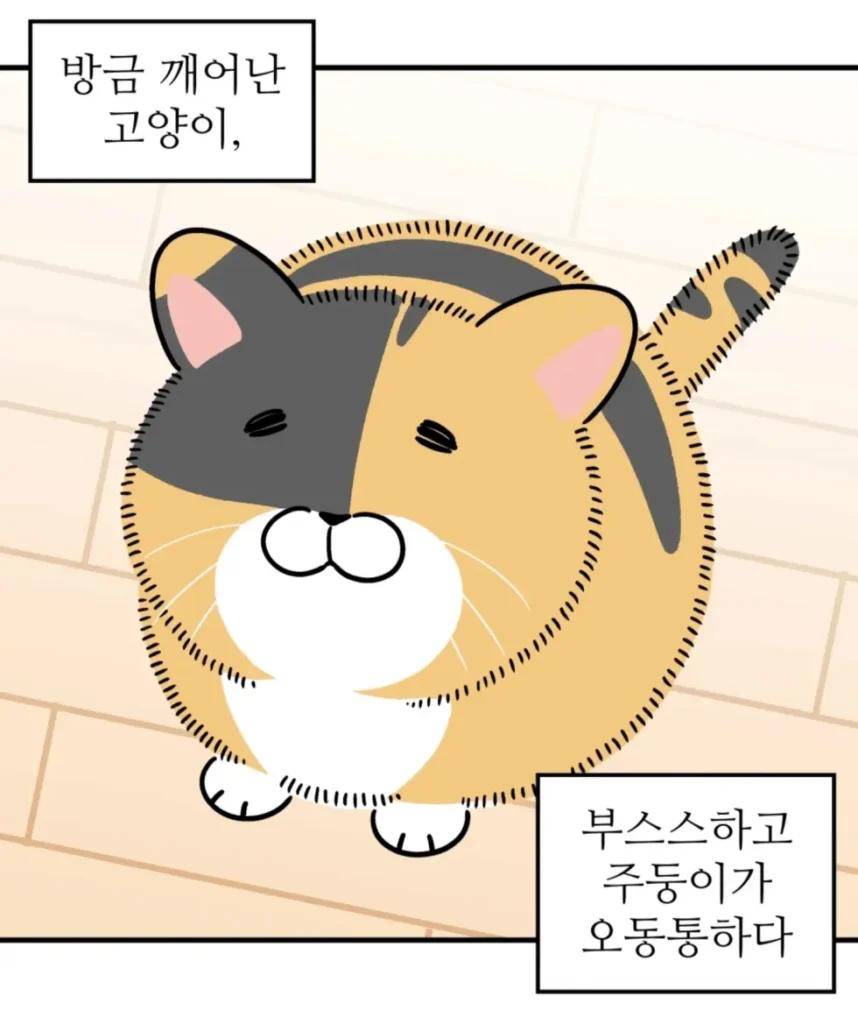 방금 일어난 고양이 자랑하는 만화