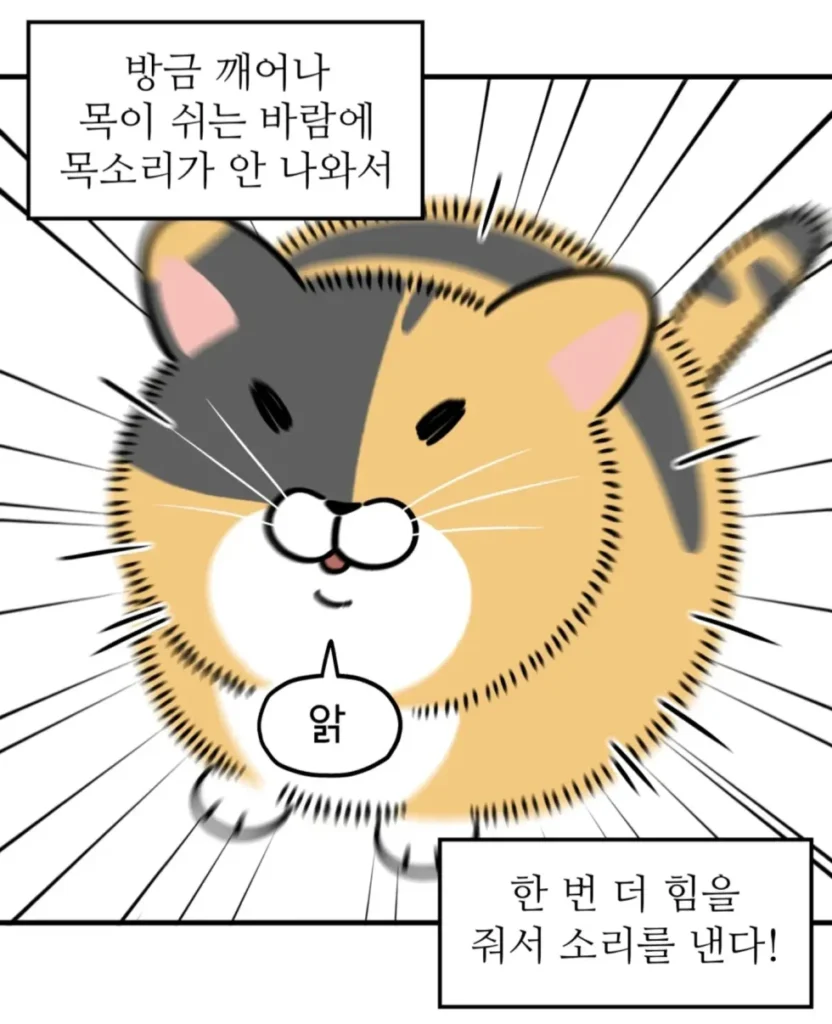 방금 일어난 고양이 자랑하는 만화