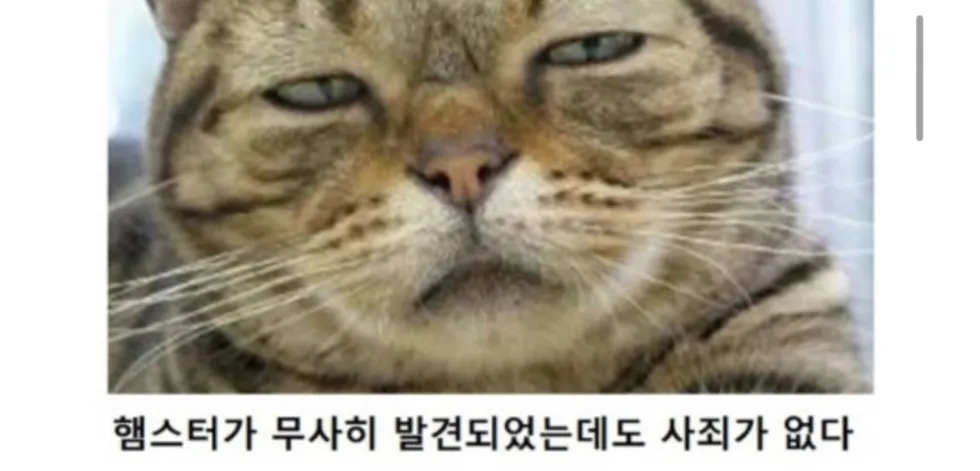 제목학원 동물 버전 다시 보기