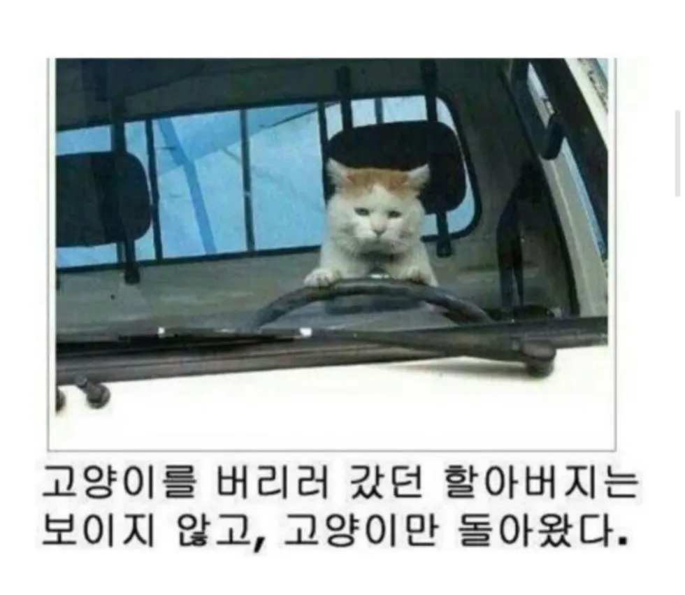 제목학원 동물 버전 다시 보기