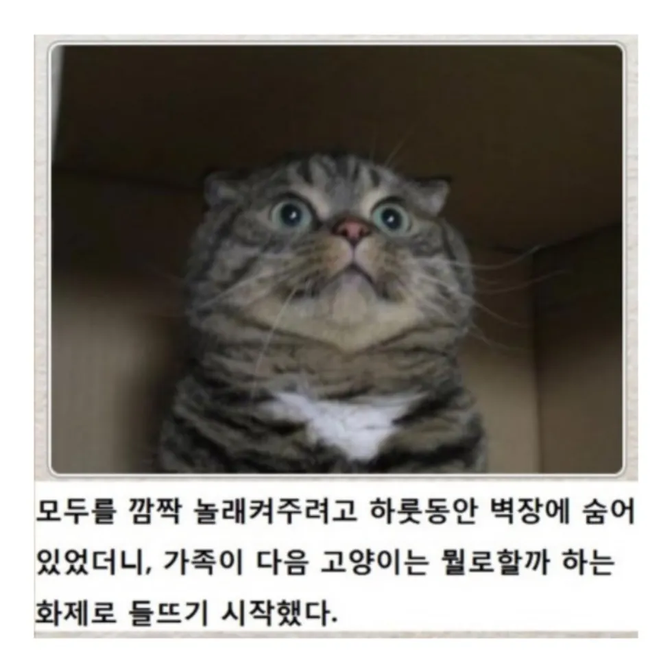 제목학원 동물 버전 다시 보기