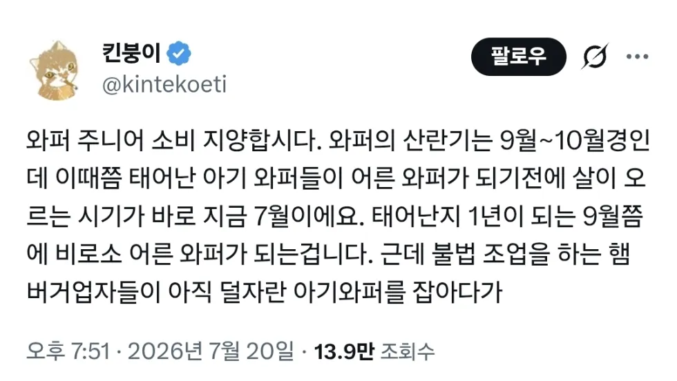와퍼 주니어, 이제는 소비하지 맙시다.