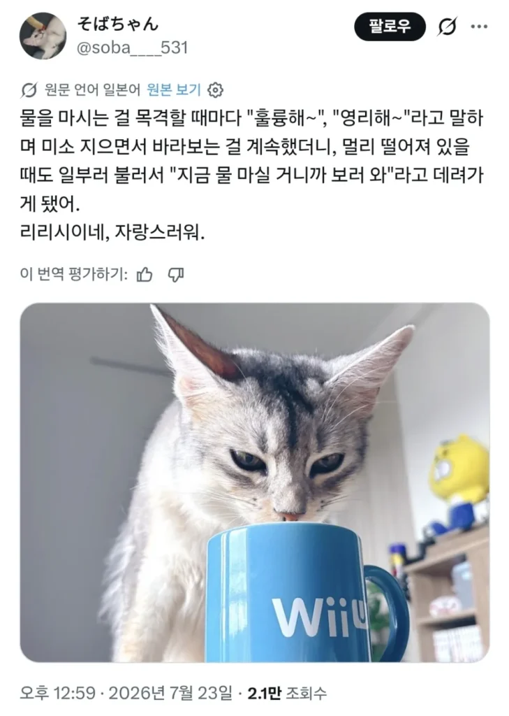 고양이가 물 마실 때마다 칭찬하면 어떻게 될까