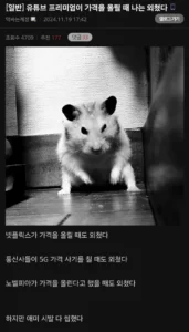 "가격을 올릴 때, 나는 외쳤다."