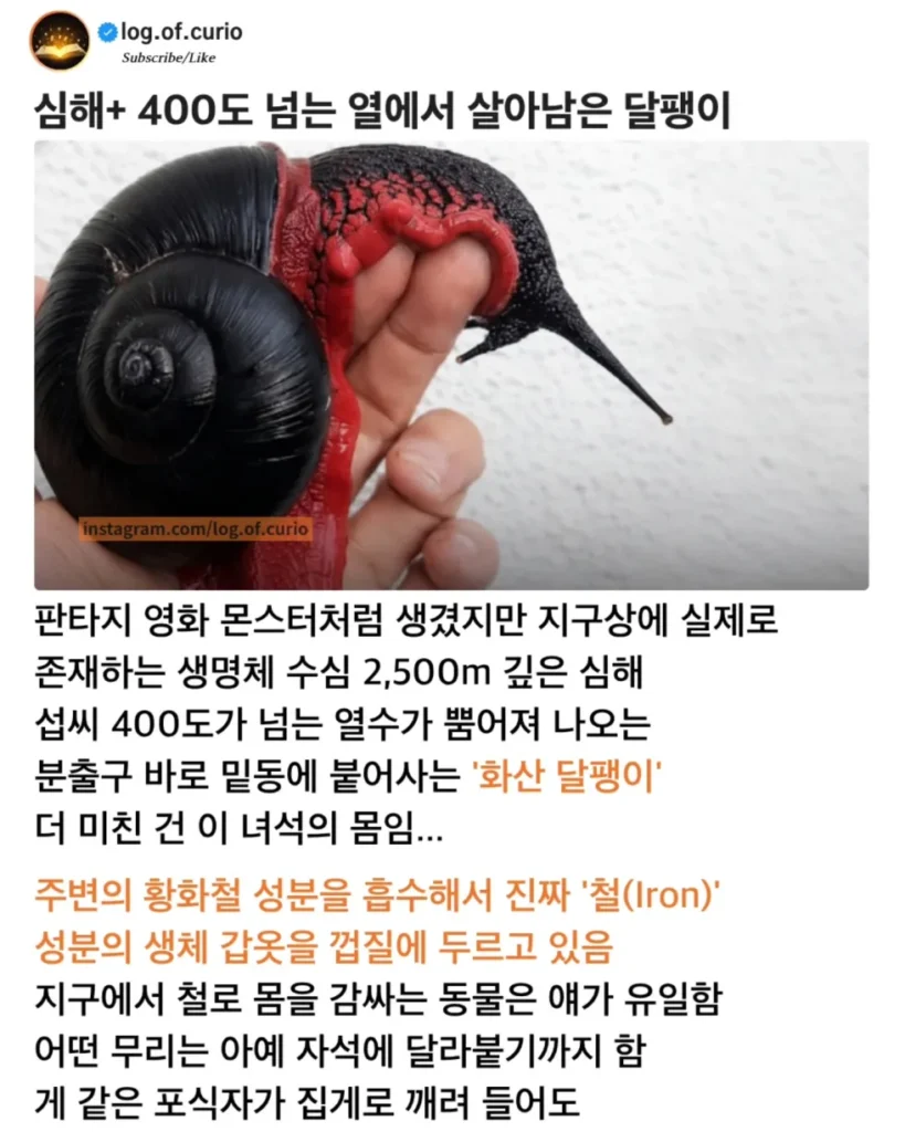 현실판 메탈슬러그, 경이로운 자연의 모습.jpg