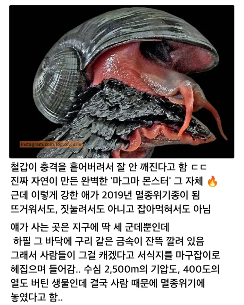 현실판 메탈슬러그, 경이로운 자연의 모습.jpg