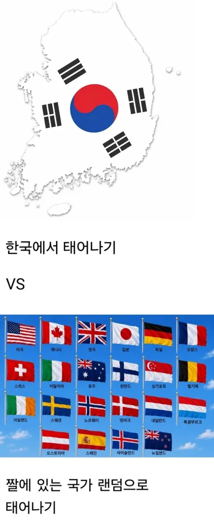 다시 태어나면 한국 vs 짤 나라 랜덤 선택.jpg