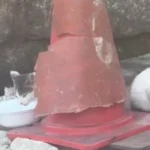 해처리에서 S급 매물 발견한 캣대디