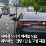 솔깃한 카파라치 정책, 해볼까?