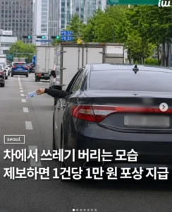 솔깃한 카파라치 정책, 해볼까?