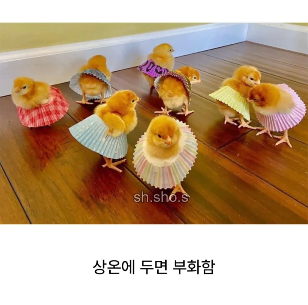 에그타르트, 냉장 보관이 필수인 까닭