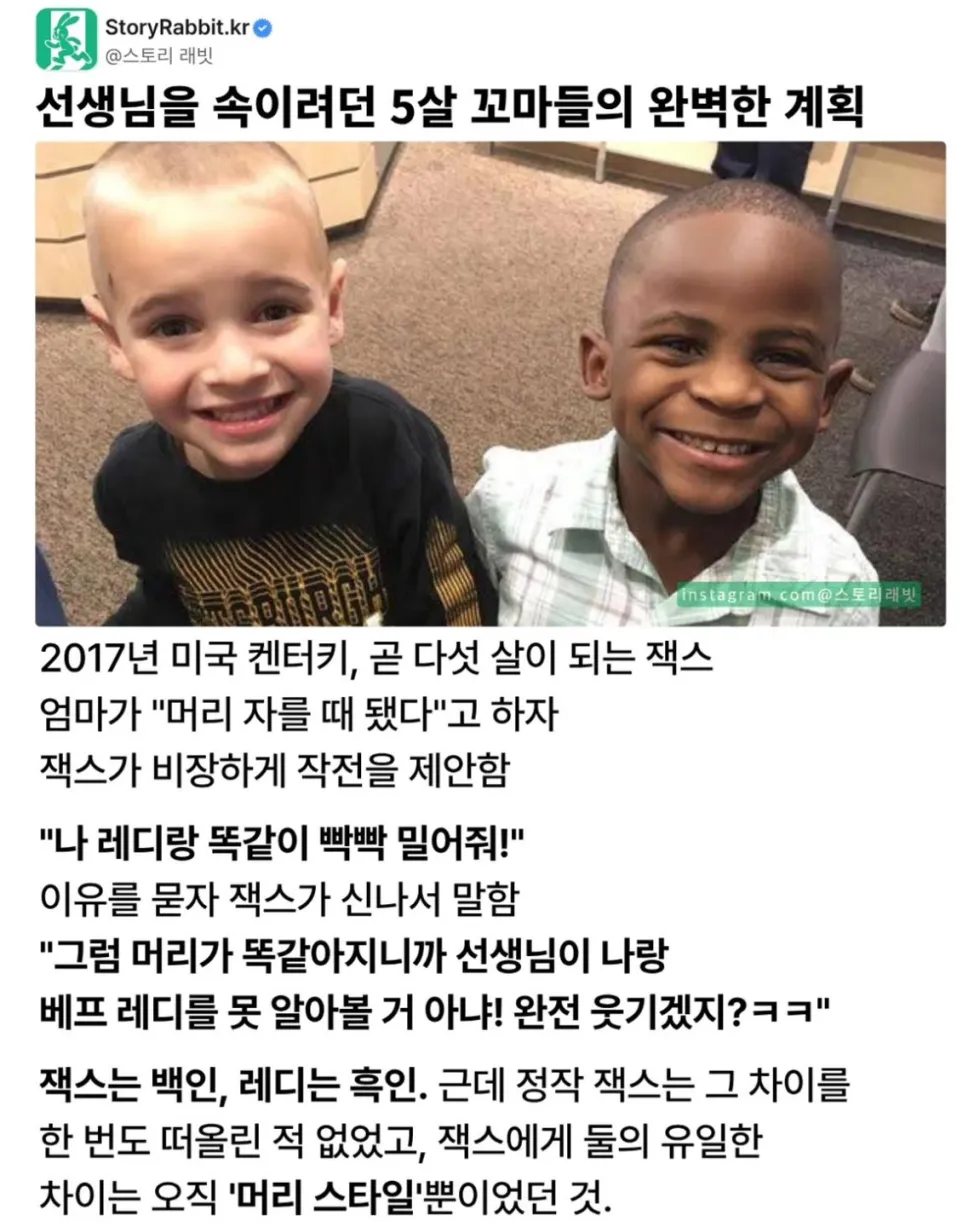 선생님을 속이려던 5살 꼬마들의 완벽한 계획