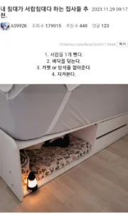 내 침대가 서랍 침대다 하는 집사들