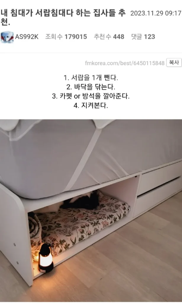 내 침대가 서랍 침대다 하는 집사들