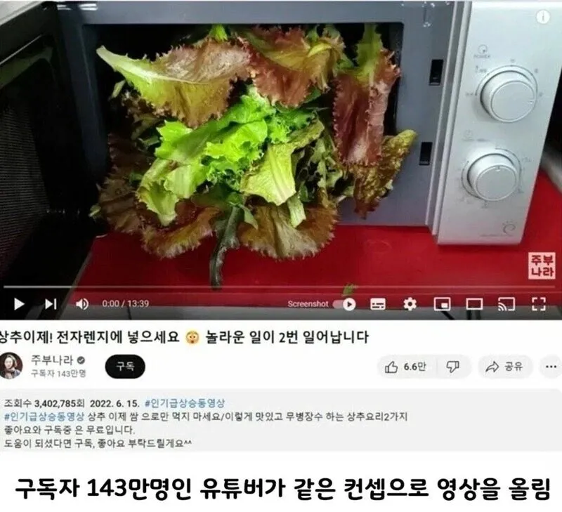 143만 유튜버, 97만 유튜버 영상 표절 의혹
