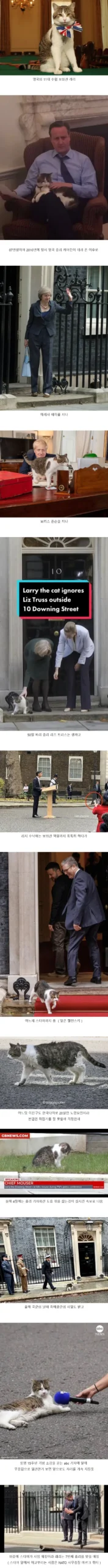 영국 총리 관저 고양이 래리, 최근 소식