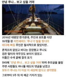 어웨이 개스트
