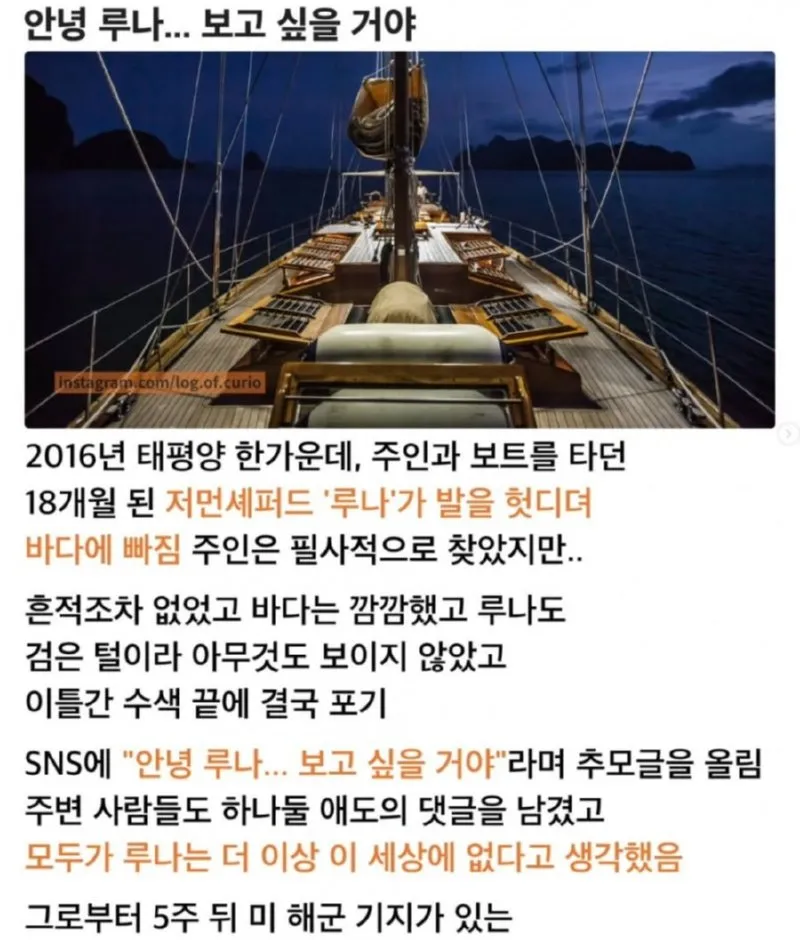 어웨이 개스트