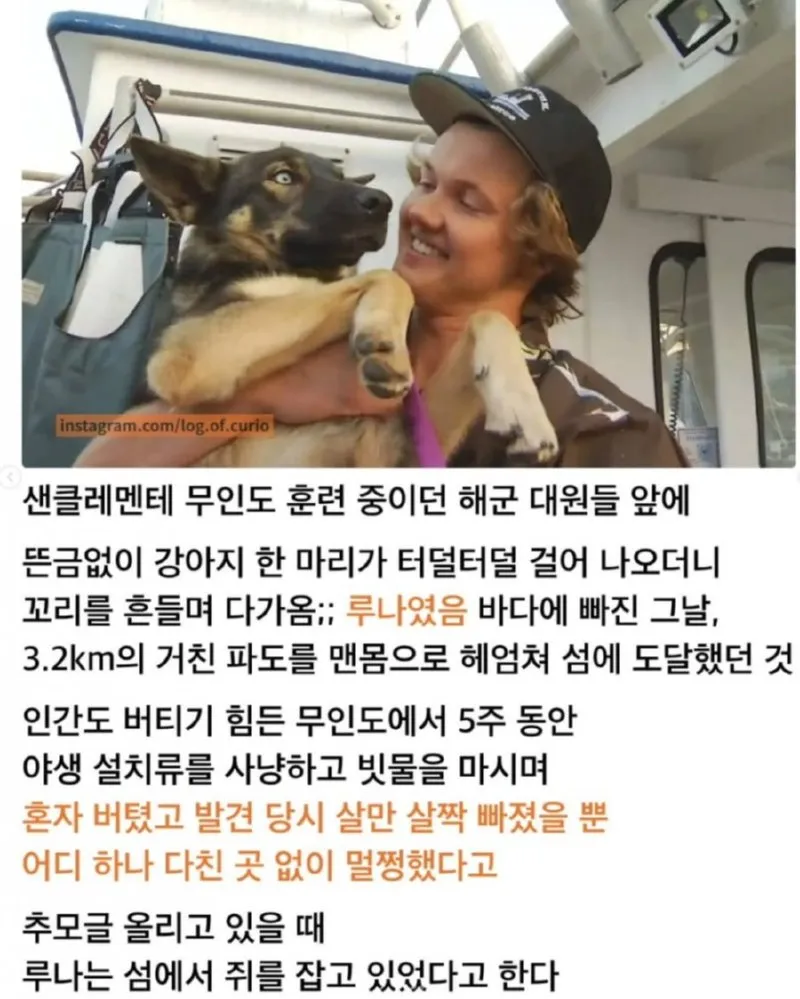 어웨이 개스트