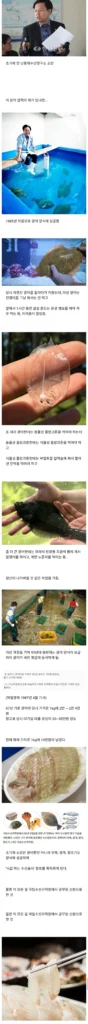 회 먹을 때마다 떠오르는 최고의 인물