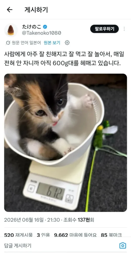 남편이 갑자기 결혼해줘서 고맙다고 하네요