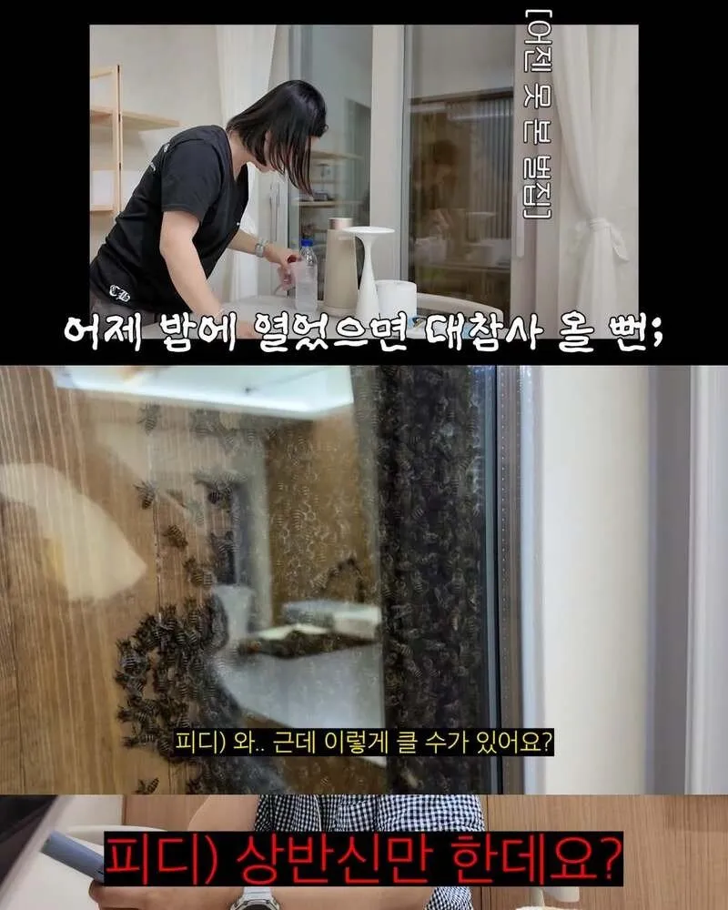 김숙, 2주 만에 제주도 집 방문 후 119 긴급 출동