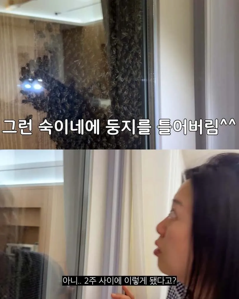 김숙, 2주 만에 제주도 집 방문 후 119 긴급 출동