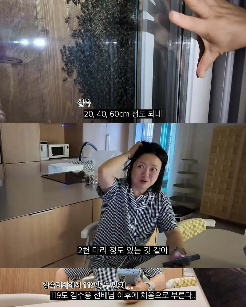김숙, 2주 만에 제주도 집 방문 후 119 긴급 출동