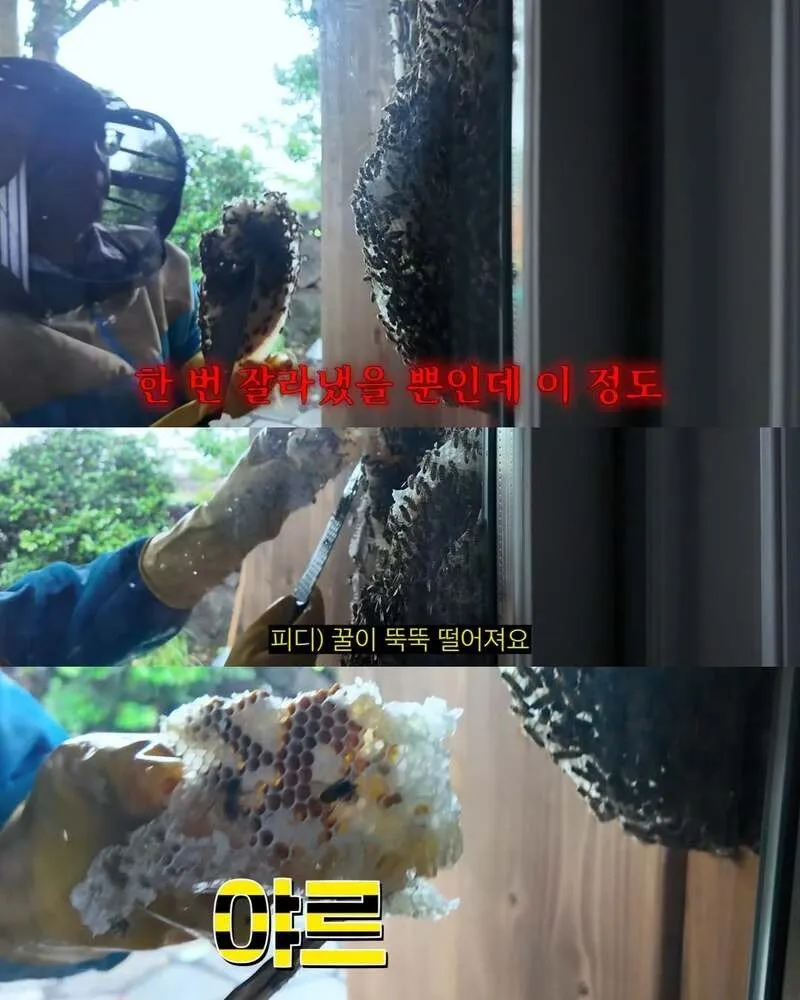 김숙, 2주 만에 제주도 집 방문 후 119 긴급 출동
