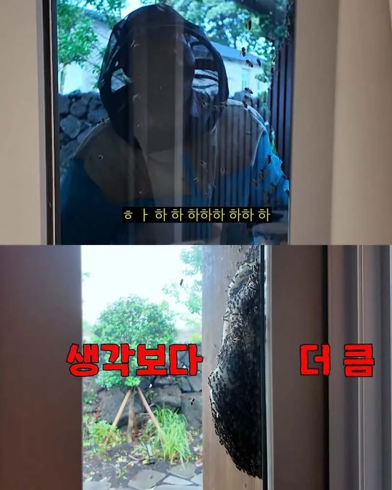 김숙, 2주 만에 제주도 집 방문 후 119 긴급 출동
