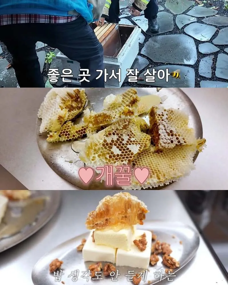 김숙, 2주 만에 제주도 집 방문 후 119 긴급 출동