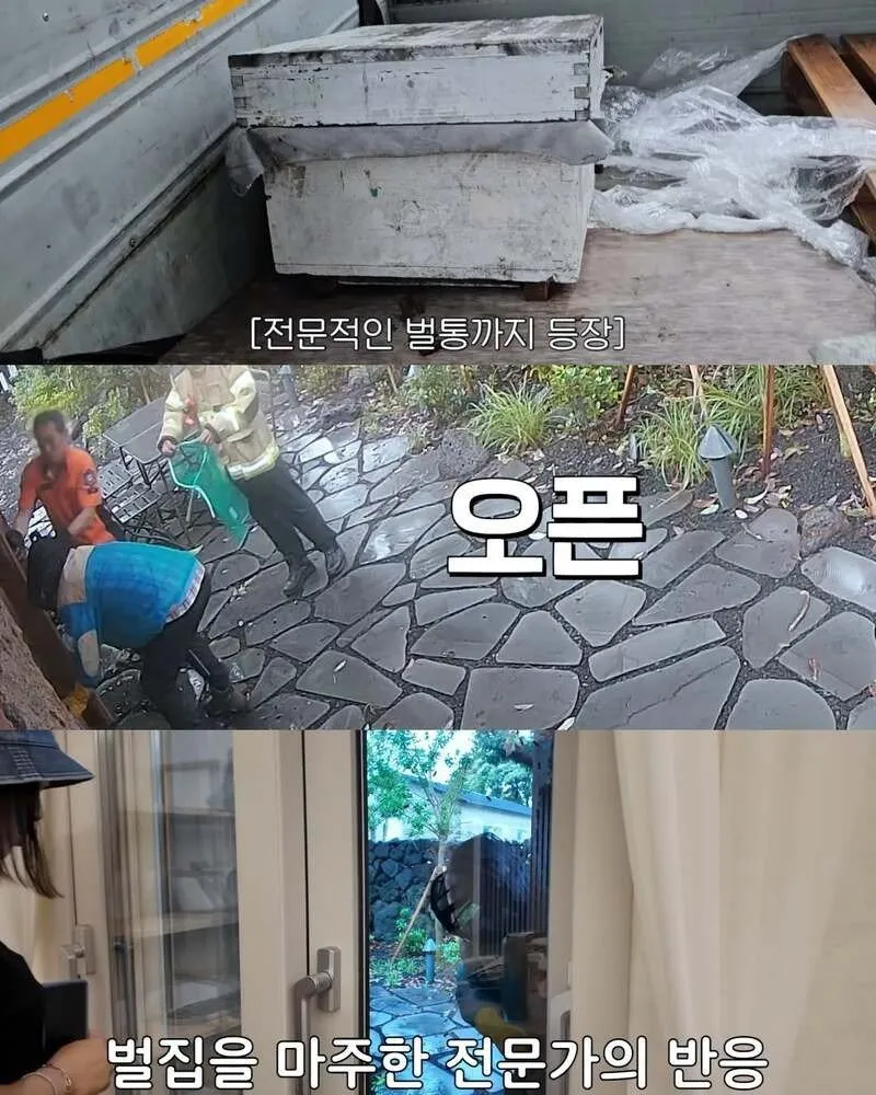 김숙, 2주 만에 제주도 집 방문 후 119 긴급 출동