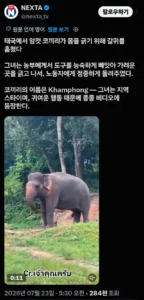 좀 빌려줘, 좋은 거 혼자 쓰지 말고