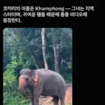 좀 빌려줘, 좋은 거 혼자 쓰지 말고