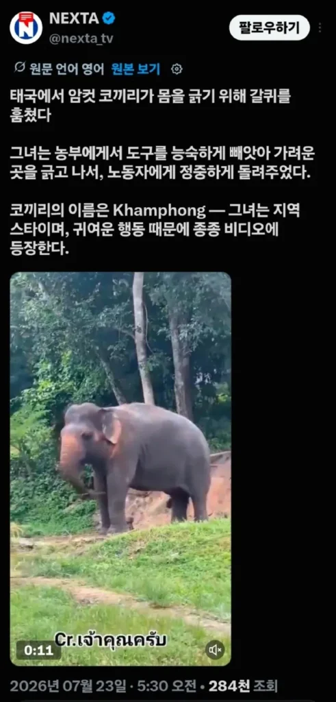 좀 빌려줘, 좋은 거 혼자 쓰지 말고
