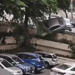대륙의 놀라운 주차 실력