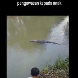 악어에게 돌을 던진 아이, 그 후